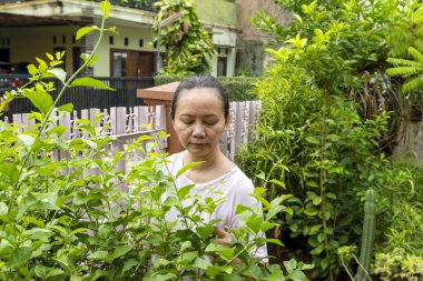 Kadın bahçesiyle ilgileniyor, yemyeşil bitkilerle çevrili. Çalışırken odaklanmış ve memnun.