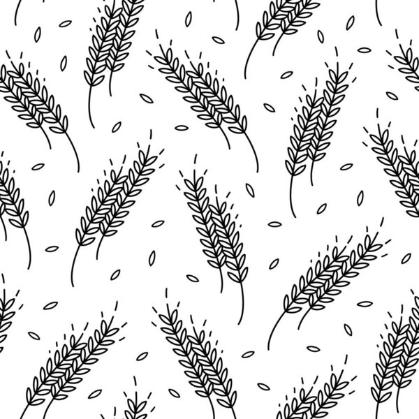 Spikelets and grains of wheat, vector seamless pattern. Outline drawn. Design on the theme of bakery products, flour, harvest. Rye texture ornament.