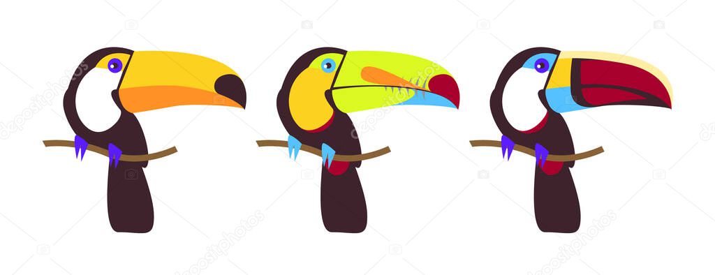 Tropical birds vector set. Rainbow-billed, Toco, Keel-Billed, White-throated, Cuviers toucan. Wild animal for zoo and nature concept, children book.