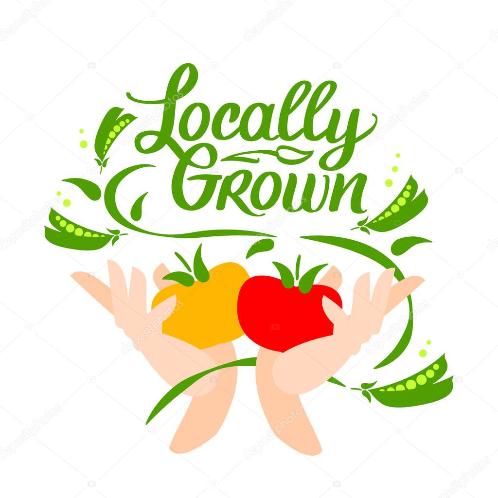 Locally grown. Vector logo, locavore food. Lettering with calligraphy with vegetable. Hands hold tomatoes and peas. For locally shop, farmers market.