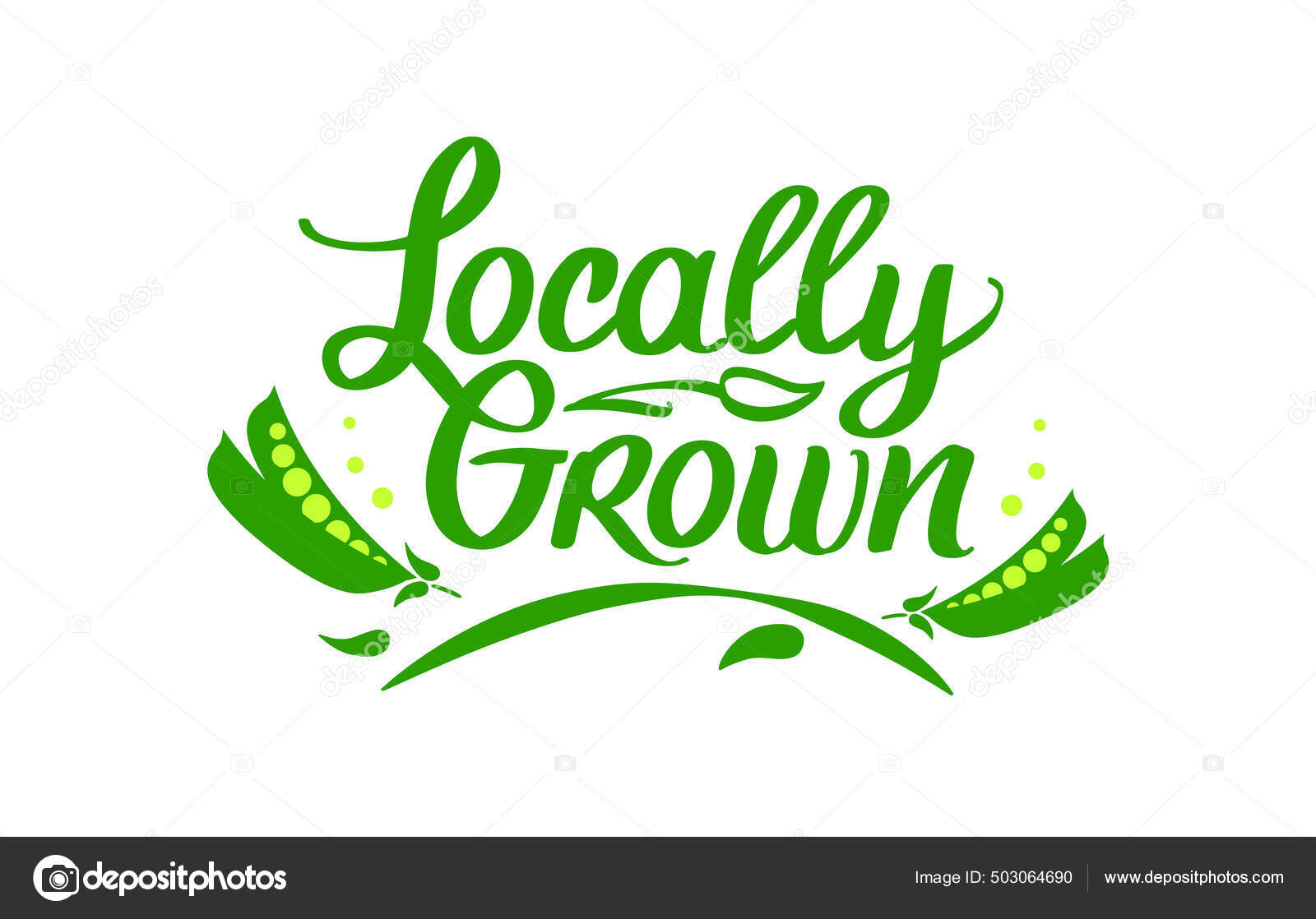 Locally Grown, vector logo template. Hand drawn lettering with green