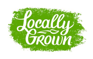 Yerel olarak büyümüş, vektör logosu şablonu. Üzerinde bitki olan el fırçası harfleri. Etiket, organik gıda amblemi, ürün ambalajı, çiftçi pazarı.