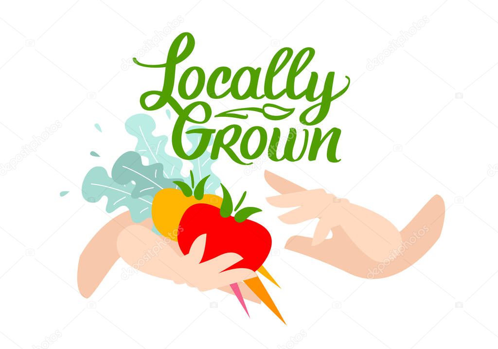 Locally grown. Vector illustration for locavore food. Organic vegetables with Lettering with handwright calligraphy. Hands hold tomatoes and carrots.