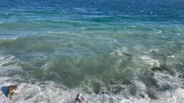 Μεγάλα Κύματα Πλησιάζουν Την Ακτή Της Μαύρης Θάλασσας Και Γλάροι — Αρχείο Βίντεο
