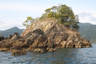 adalar Koh Lipe Island sahil şeridi'nin manzaralarına
