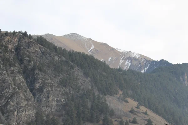 Vedere pitorească la munte — Fotografie, imagine de stoc