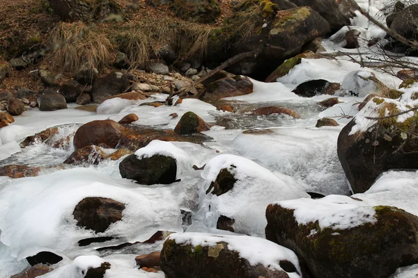 Scenic views of the mountain stream Royalty Free Stock Images