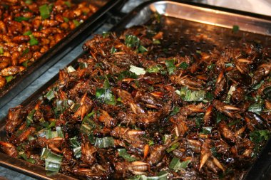 Izgara sonra ulusal Asya Mutfağı böcekler