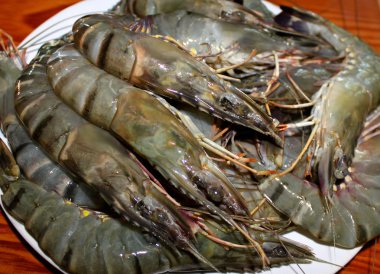 Fresh shrimp king size