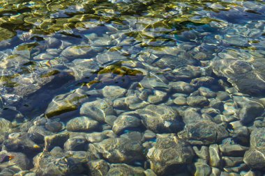 taşların altında okyanus su