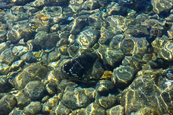 Skály pod vodou na oceánu — Stock fotografie