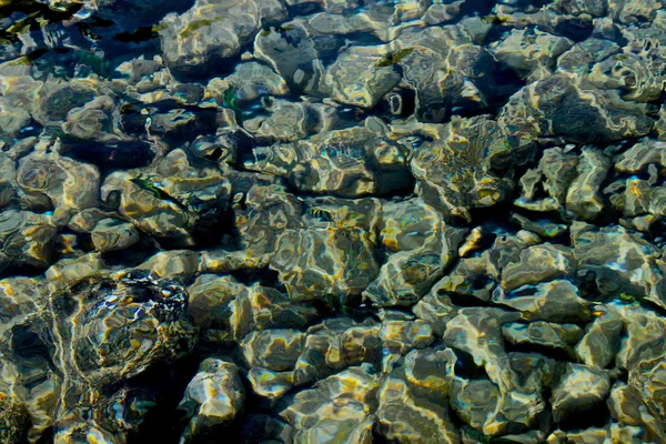 Rocas bajo el agua en el océano —  Fotos de Stock