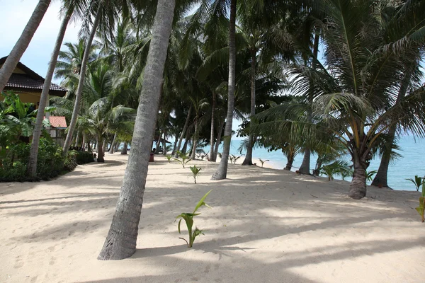 メナム ビーチ、サムイ島の風光明媚なビュー — ストック写真