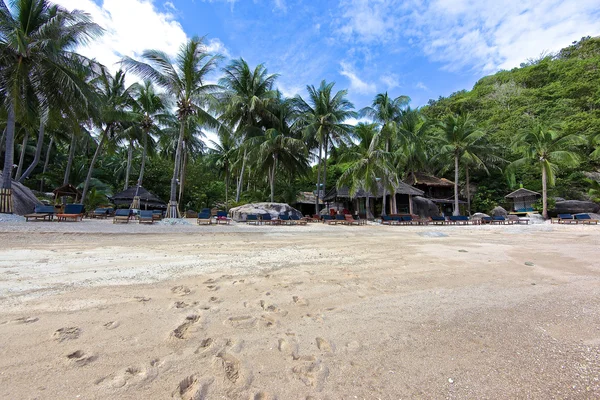 Krásný výhled na pobřeží ostrova Koh Tao — Stock fotografie zdarma