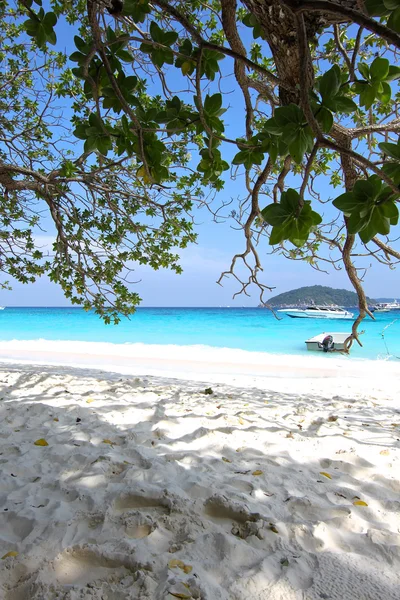 Plaj similan Adaları — Stok fotoğraf