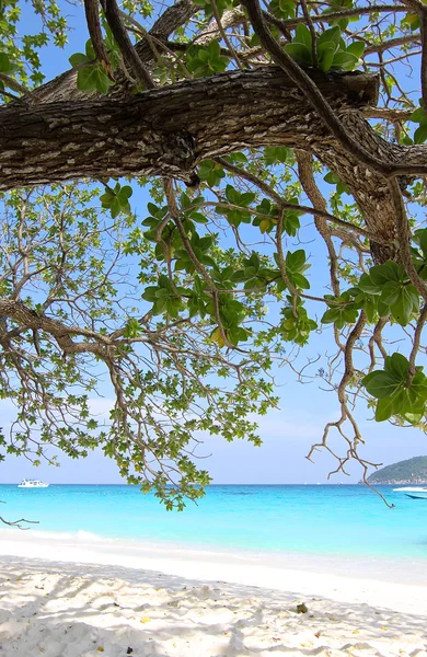 Strand auf den ähnlichen Inseln — Stockfoto