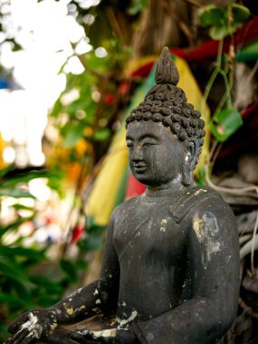 Kutsal Banyan Ağacı Altında Renkli Dualar Bayraklarıyla Barışçıl Buda Heykeli Açık Hava Budist Tapınağı