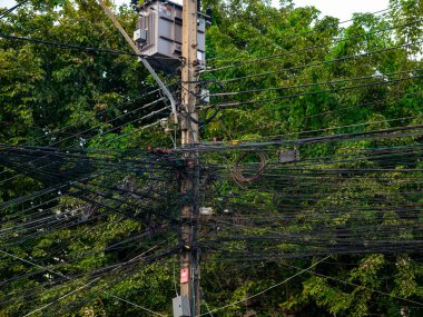 Dağcılık sarmaşıkları ile yoğun yeşil ağaç yaprakları kentsel çevrede dağınık elektrik hatları ve kablolar arasında büyüyor.