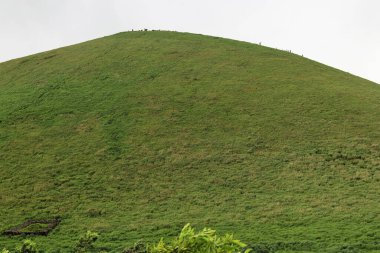 Tepedeki yeşil çimenler
