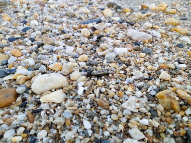 Sahile serpilmiş küçük kayalar.