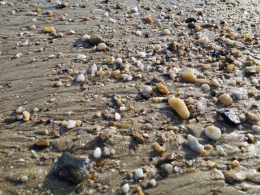 Sahile serpilmiş küçük kayalar.