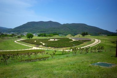 Gyeongju, Güney Kore - 31 Mayıs 2020. Mavi gökyüzü olan kraliyet mezarları