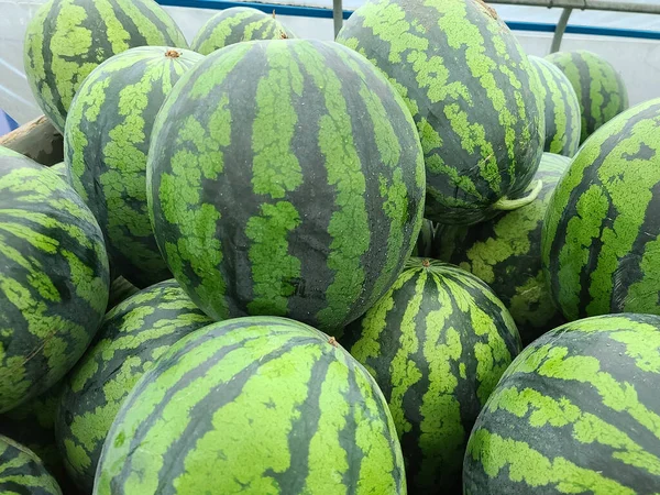 Green Watermelons Sale — Stock Photo, Image