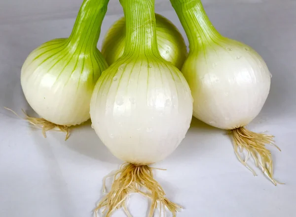 Raw Onions Market — Stock Photo, Image