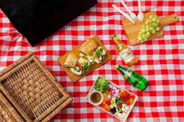 Fresh and healthy sandwiches on picnic mat