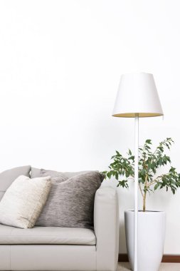 Tencerede yeşil bitki