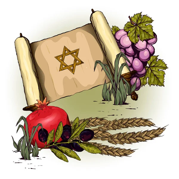 Torus et fruits juifs. Raisins, grenades, branche d'olivier, blé. — Image vectorielle