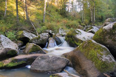 Belokurikha Nehri, Altai Bölgesi 'nin Smolensk bölgesinde bir dağ geçidi boyunca akar. Çok popüler bir turizm merkezi..