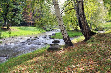 Belokurikha Nehri, Altai Dağları, Belokurikha, Altai, Rusya. Yaprak dökülüyor. Dağlık Altai 'de Belokurikha nehrinin kıyısında sonbahar manzarası. Rusya.
