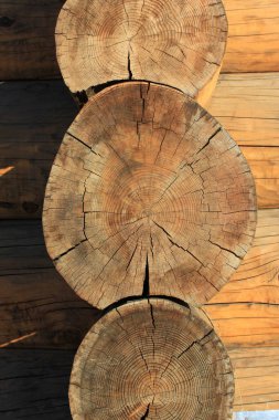 Büyük ahşap türlerden yapılmış bir ağaç evin parçası..