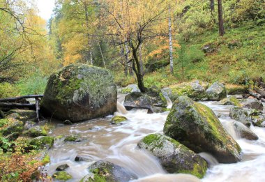 Stormy waters of the mountain river Belokurikha.  Russia. The Belokurikha River flows in the Smolensk region of the Altai Territory through a mountain gorge. A very popular tourist destination.