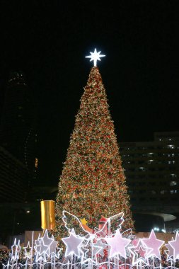 Büyük bir noel ağacı kutlama sezonu için şehirde duruyor.