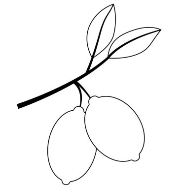 Beyaz arkaplana çizilmiş limon siyah çizgisi. Citrus meyve çizimi, kabartma vektör çizimi. Tahta sitili taklit. Kartlar, posterler, tişörtler, simgeler için tasarım.