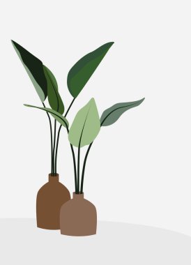 Vazodaki bitkilerin vektör düz çizimi. Saksıda ev bitkileri. Kahverengi saksılarda yeşil yapraklar. Kartpostallar, posterler, arka planlar, tekstil, şablonlar, iç ögeler için tasarım.