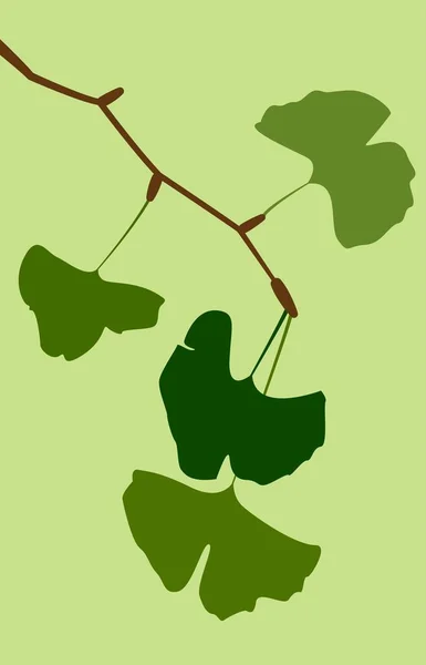 Düz yeşil yapraklı ahşap bir dal. Minimalist yönde vektör illüstrasyonu. Kartlar, posterler, arka planlar, şablonlar, karikatürler, menüler, tekstil için tasarım.