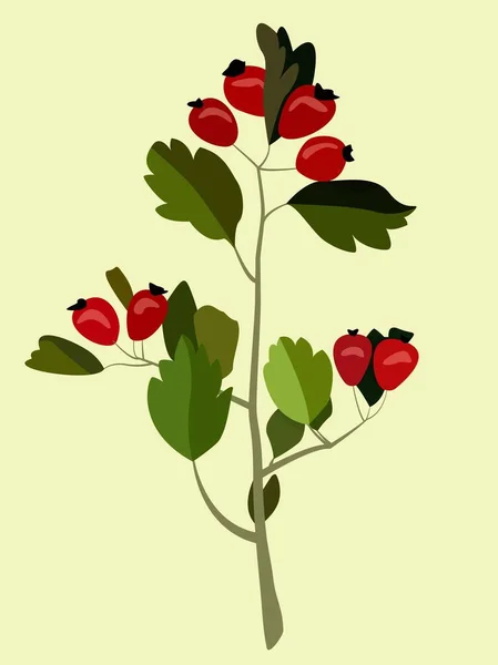 Red Berries Leaves Branch Vector Flat Illustration Style Minimalism Painting — Stock Vector