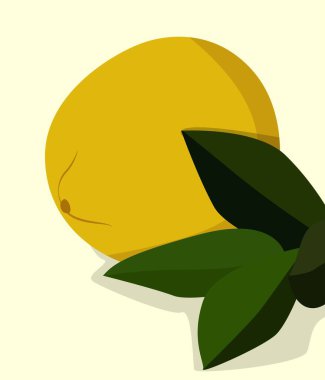 Sakin renklerde düz vektör çizimi. Yeşil yapraklı sarı limon. Yiyecek çizimi, arka planda narenciye meyveleri. Kartlar, posterler, arka planlar, tekstil, şablonlar, menüler için tasarım.