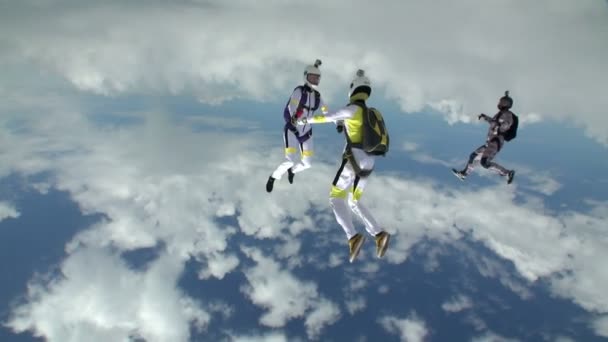 Professionele skydivers doen vrije val — Stockvideo