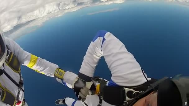 Professionele skydivers doen vrije val — Stockvideo