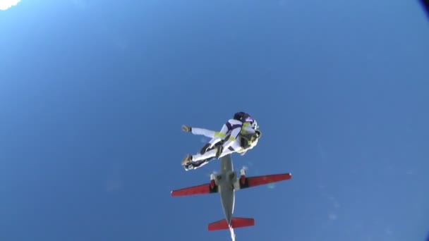 Professionele skydivers doen vrije val — Stockvideo