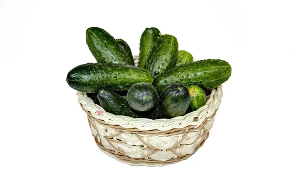 Fresh cucumbers in basket — Stock Photo, Image