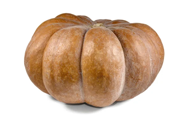 Grande zucca cruda — Foto Stock