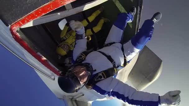 Professionele skydivers doen vrije val — Stockvideo