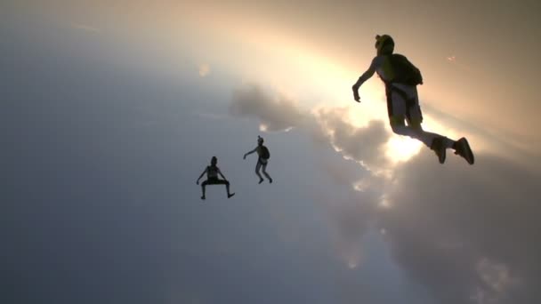 Professionella fallskärmshoppare gör fritt fall — Stockvideo