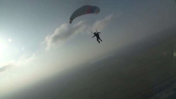 プロのスカイダイバーのパラシュートでジャンプ — ストック動画