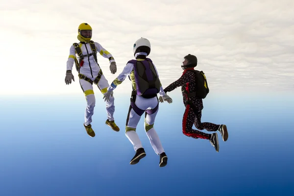 Skydivers collects figure in freefall. — Stock Photo, Image